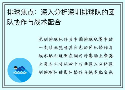 排球焦点：深入分析深圳排球队的团队协作与战术配合